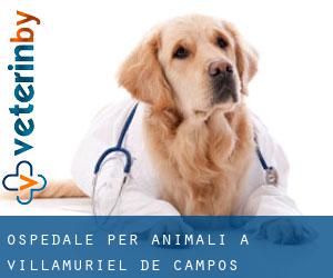 Ospedale per animali a Villamuriel de Campos