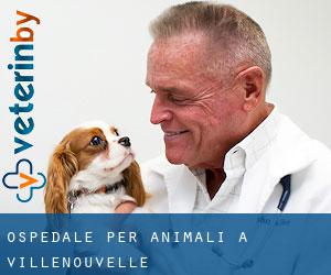 Ospedale per animali a Villenouvelle