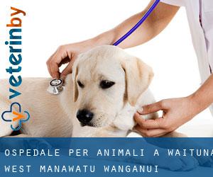 Ospedale per animali a Waituna West (Manawatu-Wanganui)