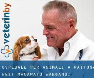 Ospedale per animali a Waituna West (Manawatu-Wanganui)