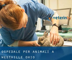 Ospedale per animali a Westville (Ohio)