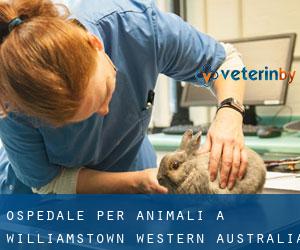 Ospedale per animali a Williamstown (Western Australia)