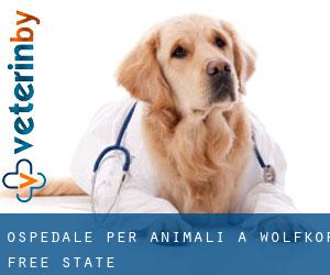 Ospedale per animali a Wolfkop (Free State)