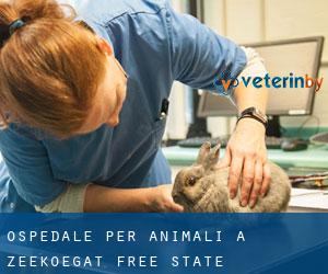 Ospedale per animali a Zeekoegat (Free State)