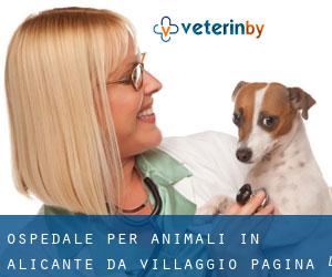 Ospedale per animali in Alicante da villaggio - pagina 4