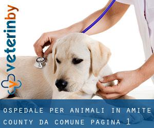 Ospedale per animali in Amite County da comune - pagina 1