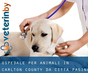 Ospedale per animali in Carlton County da città - pagina 1