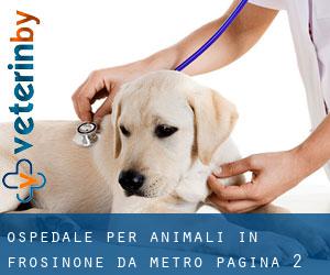 Ospedale per animali in Frosinone da metro - pagina 2