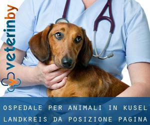 Ospedale per animali in Kusel Landkreis da posizione - pagina 3
