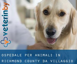 Ospedale per animali in Richmond County da villaggio - pagina 1