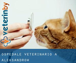 Ospedale Veterinario a Aleksandrow