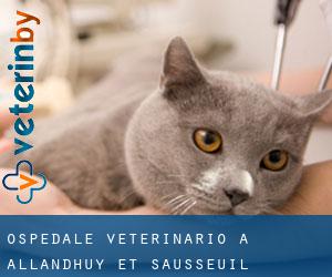 Ospedale Veterinario a Alland'Huy-et-Sausseuil
