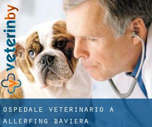 Ospedale Veterinario a Allerfing (Baviera)