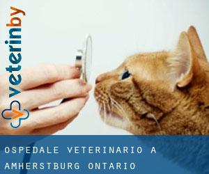 Ospedale Veterinario a Amherstburg (Ontario)
