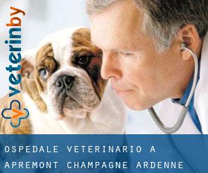 Ospedale Veterinario a Apremont (Champagne-Ardenne)
