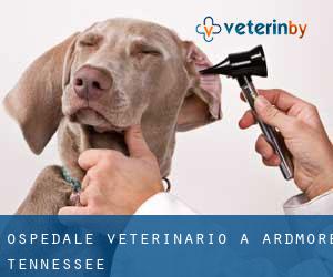 Ospedale Veterinario a Ardmore (Tennessee)