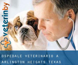 Ospedale Veterinario a Arlington Heights (Texas)