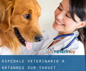 Ospedale Veterinario a Artannes-sur-Thouet