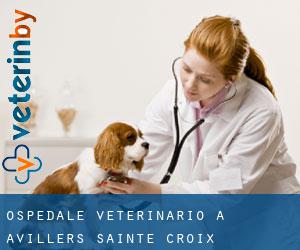 Ospedale Veterinario a Avillers-Sainte-Croix