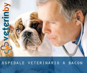 Ospedale Veterinario a Bacon