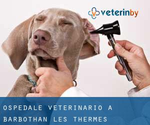 Ospedale Veterinario a Barbothan Les Thermes