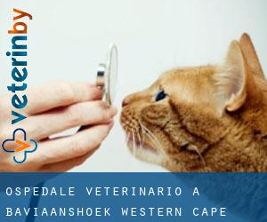 Ospedale Veterinario a Baviaanshoek (Western Cape)