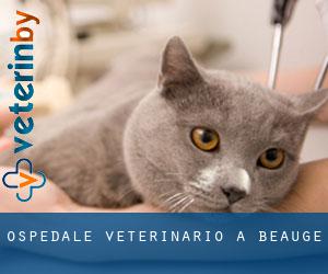 Ospedale Veterinario a Beauge