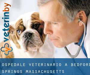 Ospedale Veterinario a Bedford Springs (Massachusetts)