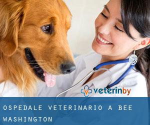 Ospedale Veterinario a Bee (Washington)