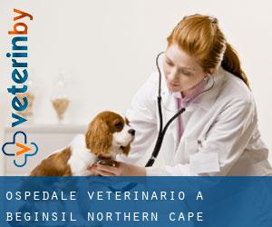 Ospedale Veterinario a Beginsil (Northern Cape)
