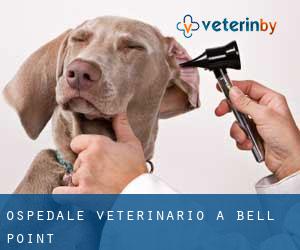 Ospedale Veterinario a Bell Point