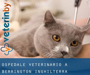 Ospedale Veterinario a Berrington (Inghilterra)