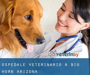 Ospedale Veterinario a Big Horn (Arizona)