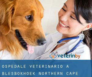 Ospedale Veterinario a Blesbokhoek (Northern Cape)