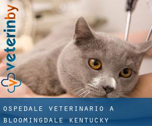 Ospedale Veterinario a Bloomingdale (Kentucky)