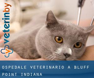 Ospedale Veterinario a Bluff Point (Indiana)
