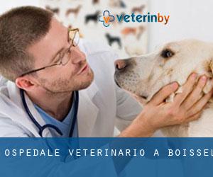 Ospedale Veterinario a Boissel