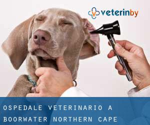 Ospedale Veterinario a Boorwater (Northern Cape)