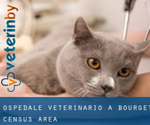 Ospedale Veterinario a Bourget (census area)