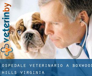 Ospedale Veterinario a Boxwood Hills (Virginia)