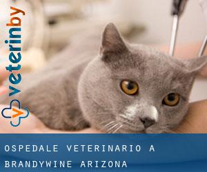 Ospedale Veterinario a Brandywine (Arizona)