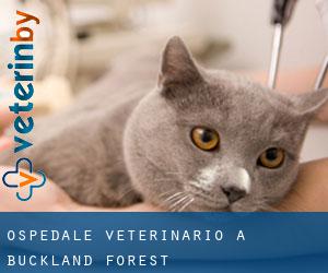 Ospedale Veterinario a Buckland Forest