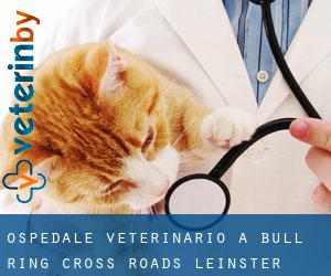 Ospedale Veterinario a Bull Ring Cross Roads (Leinster)