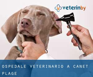Ospedale Veterinario a Canet-Plage