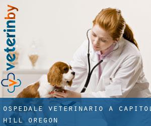 Ospedale Veterinario a Capitol Hill (Oregon)