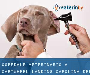 Ospedale Veterinario a Cartwheel Landing (Carolina del Sud)