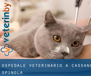 Ospedale Veterinario a Cassano Spinola