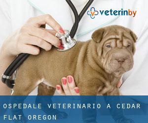 Ospedale Veterinario a Cedar Flat (Oregon)