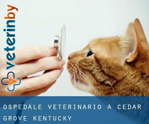 Ospedale Veterinario a Cedar Grove (Kentucky)