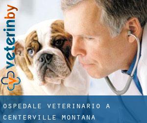 Ospedale Veterinario a Centerville (Montana)